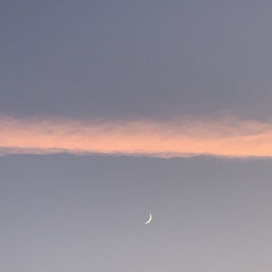 Meet your Posher, Leah